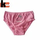 Girl Girls Briefs Pretty Girl Panties Lovely Puppy Print Children's Underwear Girls Briefs