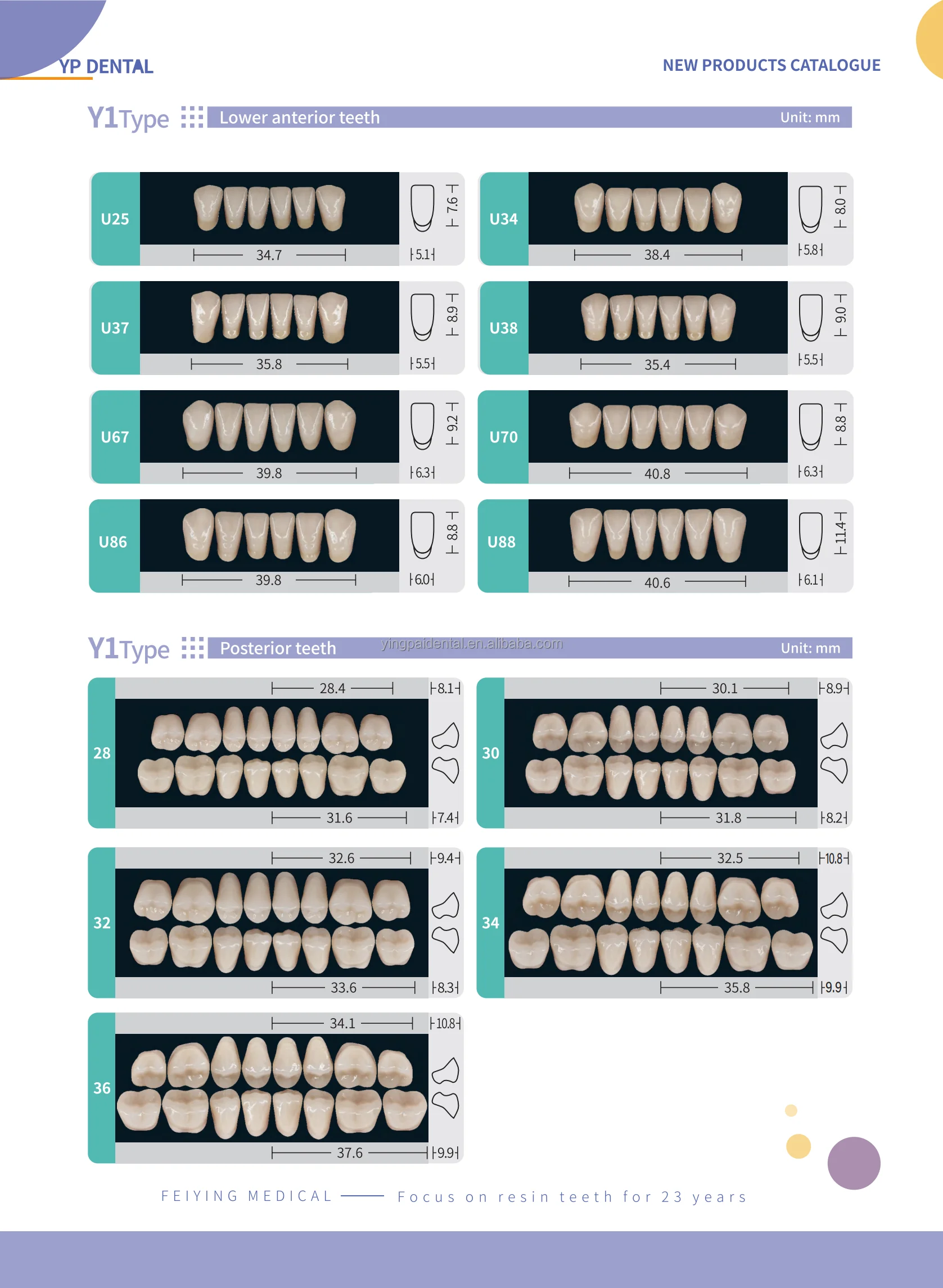 fake teeth (5)