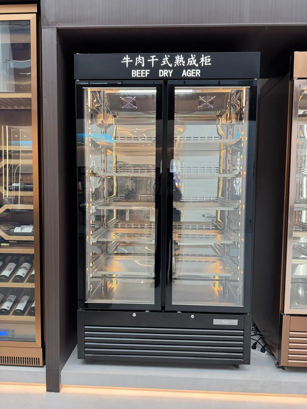 Saving Stainless Steel Freezer, 220 V - detail 52