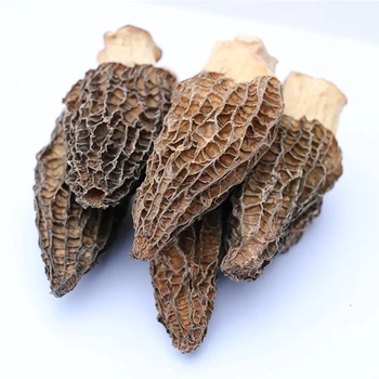 Wholesale Price Dried Wild Morel Mushrooms 3.5~6Cm Mushroom Morchella Fresh Morel