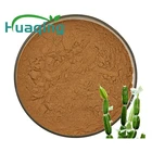 Hot Selling Cissus Quadrangularis Extract Powder 50:1 Cissus