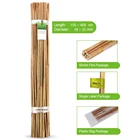 Treated Plant Support Bamboo Treated Artificial Yellow Cane Flower Support Pole