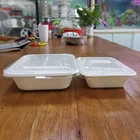 Food Container Takeaway Bagasse Food Container With Lid Disposable