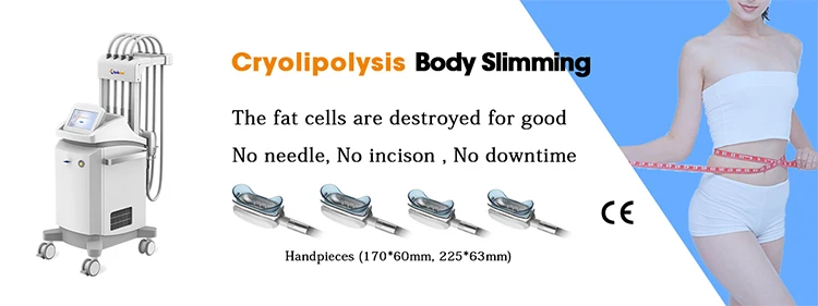 Apolomed Cryolipolysis Machine for Body Slimming details