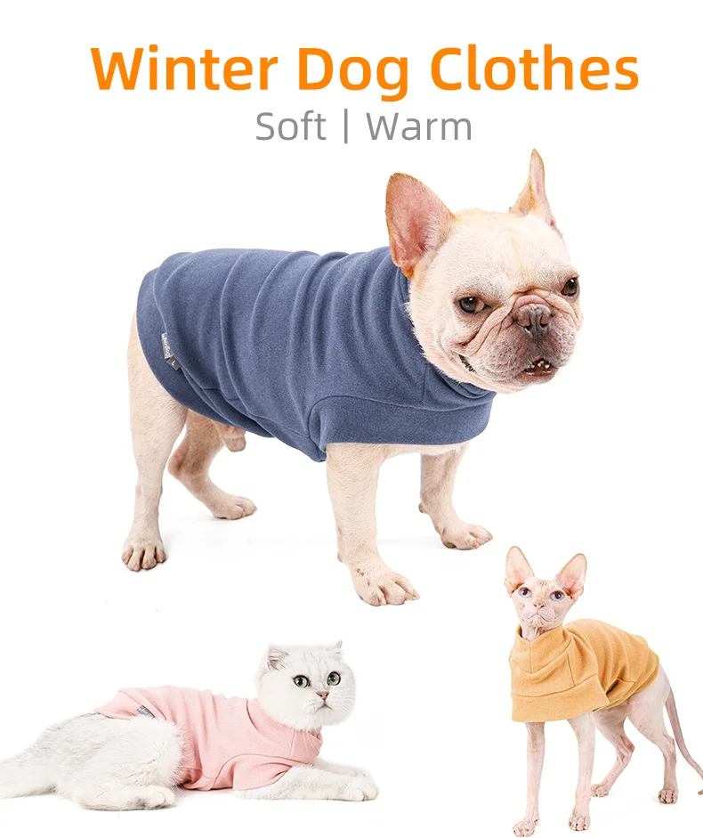  Stylish and Affordable Pet Outfits: Elevate Your Pet's Wardrobe