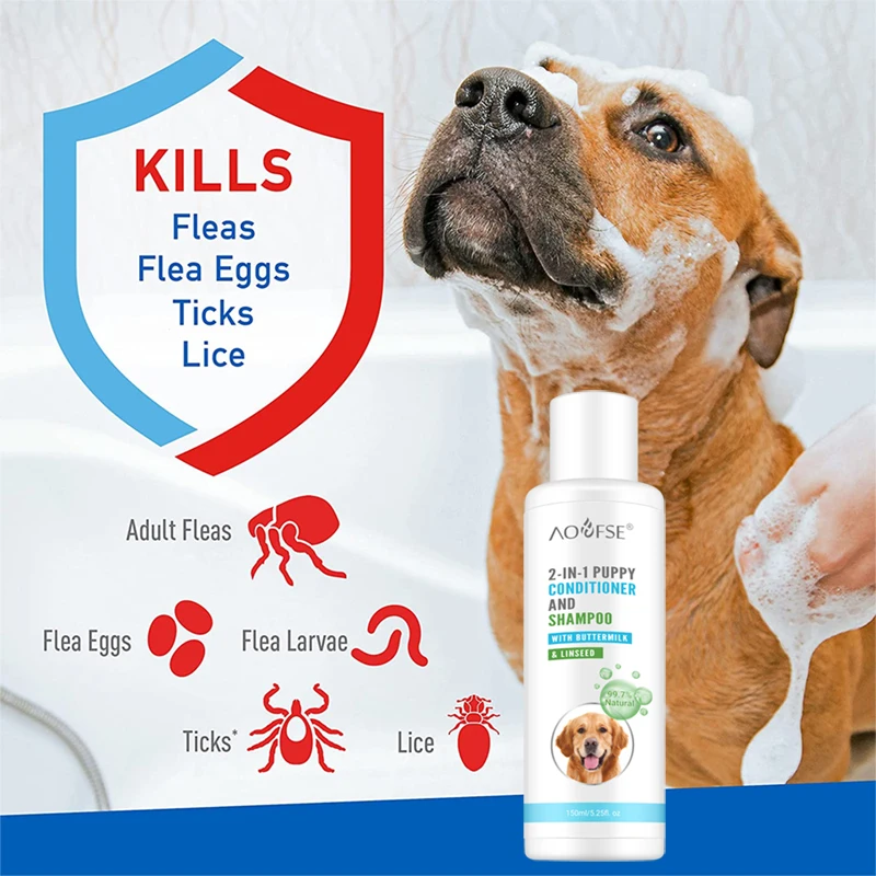 what is the best shampoo for itchy dogs