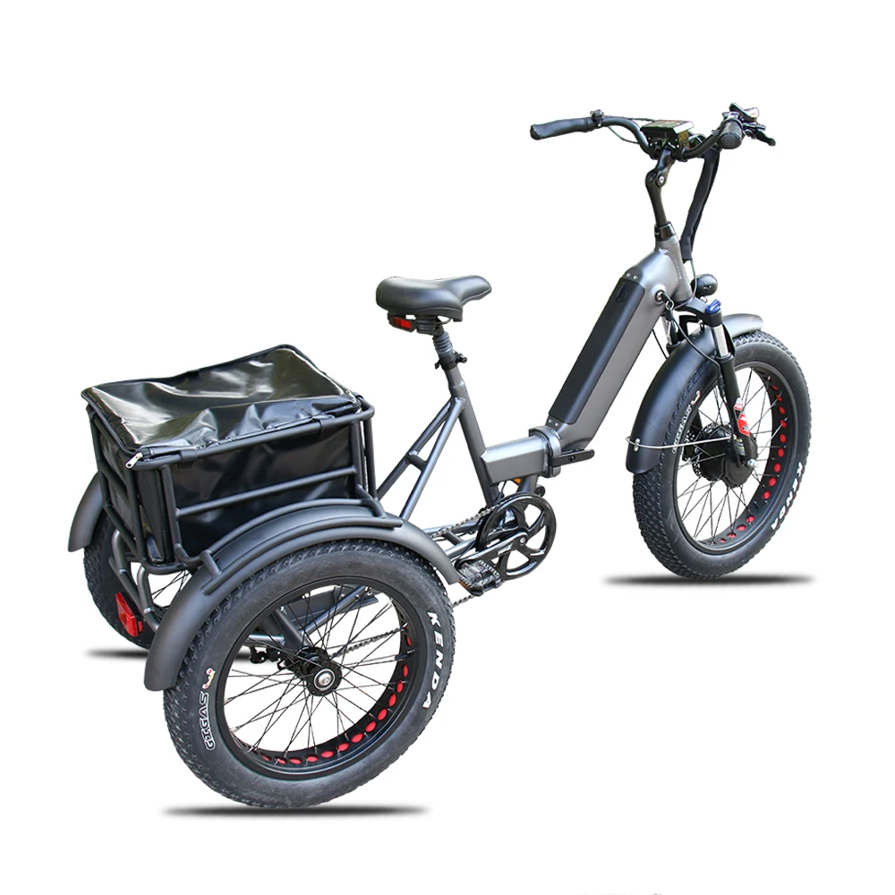 motorized fat tire bike for sale