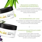 Aloe Vera Cream Moisturizing Cream Private Label Aloe Vera Moisturizing Cream Oil Control Anti Acne Skin Treatment Cream