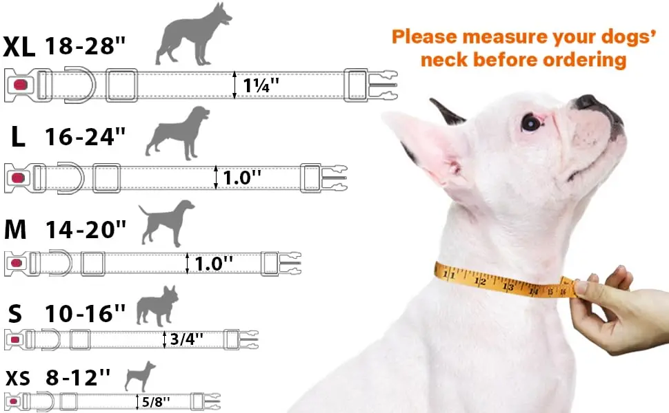 hotpink quick release buckle dog collar 1