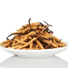 Natural Herbal Cordycep Herbal Supplements Cordyceps Mushroom 150ml Pure Natural Capsule Reishi