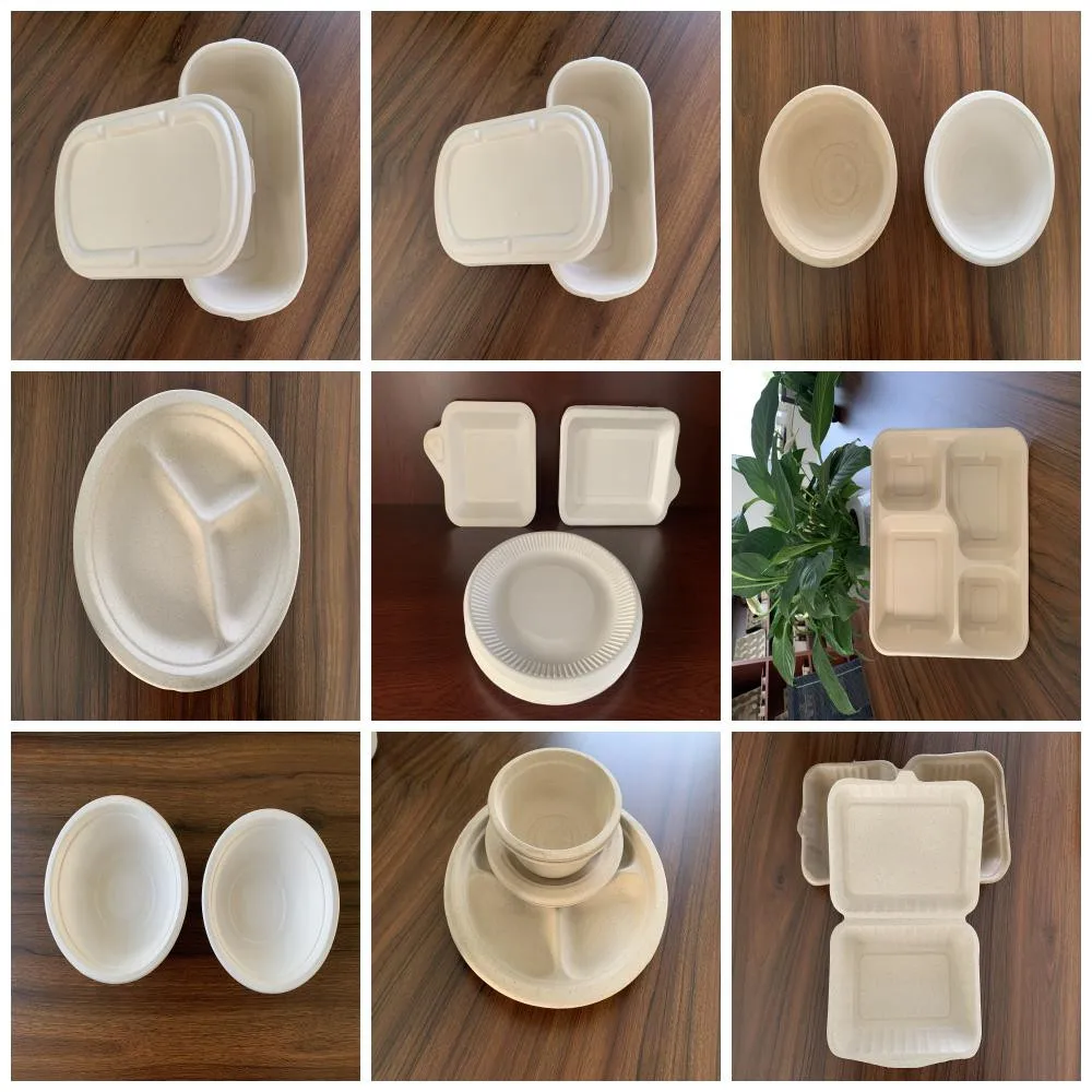 Automatic Biodegradable Disposable Paper Dish Tableware Making Machine with Sugarcane Bagasse Pulp factory