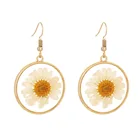 Earrings Cute Dainty Jewelry Chunky Round White Natural Chrysanthemum Transparent Resin Earrings