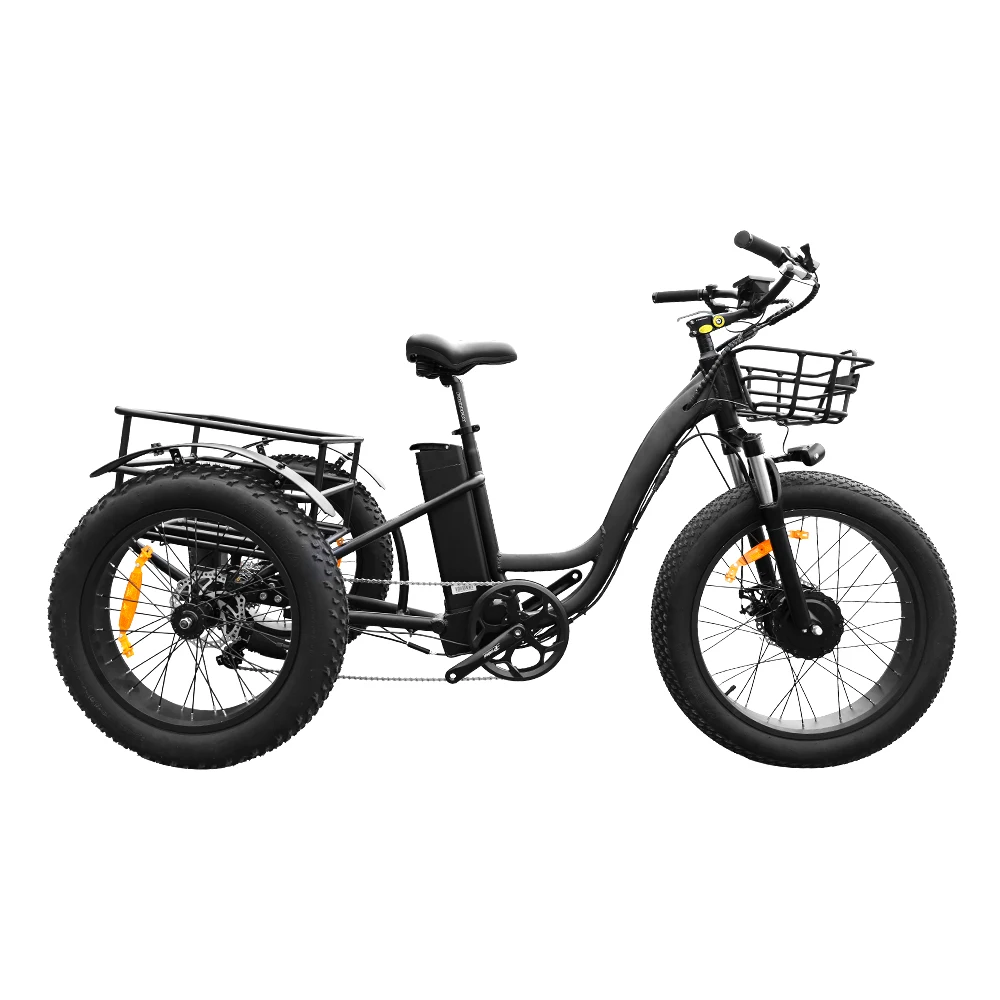 Carrello per Verdure per Il Tempo Libero della Bicicletta elettrica Trike a 3 Ruote da 20con Luce a LED e Cestino della Spesa DNNAL Triciclo per Adulti Elettrico 