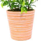 Bonsai Tree New Design Artificial Decorative Bonsai Potted Fake Tree For Home Office Hotel