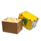 Global Fresh Organic Yellow Lemon Glass Grade A Best Quality Lowest Price Global Supply