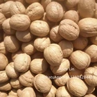 Shell Factory Supply Best Quality Sensen Walnut Type Thin Shell Washed And Unwashed 32mm Up 34mm Up