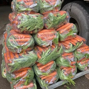 Crop Supplier Factory Price Vegetable Frozen Organic Carrot Export Standard IQF Manufacturers Direct Selling Shape Customization