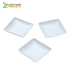 Finger Plate Dishes Plates Sugarcane Finger Food Dishes Square Dessert Plate