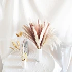 Decor Amazon Most Popular Dried Pampas Grass Decor Small Pampas Grass With Latest Design For Decorations
