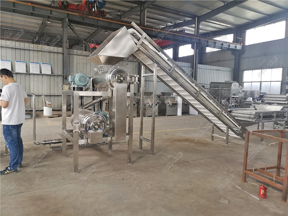 Professional Double Channel Fruit Pulping Machine Dragon Fruit