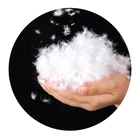 Cotton Fiber Polyester Staple Fibers Factory PP Cotton Recycled Polyester Staple Fiber Pet Fiber Psf