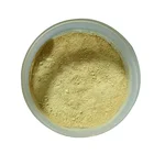 Powder Powder Factory Supply High Quality Fisetin Powder