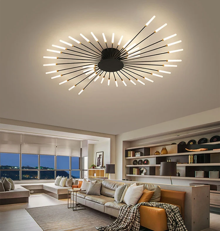 ceiling light (5).jpg