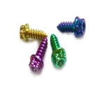Titanium Fastener M6*17mm Socket Head Titanium Fastener Self Tapping Screw