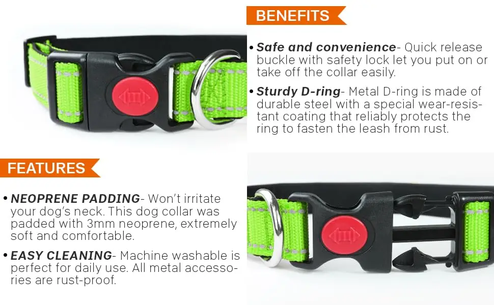 green durable dog collar 