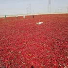 Chilli Chillired Factory Direct Sales Of Pure Natural High Quality Sweet Paprika Powder Chilli Powder