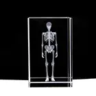 JY Manufacturer Wholesale Human Skeleton Anatomical Model Custom 3d Laser Etching Crystal Glass Crafts