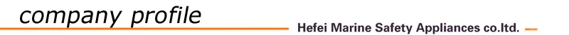 company profile