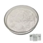 Food Transglutaminase Enzyme Food Additive