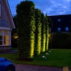 Lighting Led Light Outdoor Lighting Outdoor Lighting Outdoor Garden Lights Waterproof Led Outdoor Light