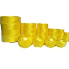 String Yellow Wholesale Pp Raffia Yarn Polypropylene String Greenhouse Yellow Color Rope