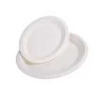 Oval Bagasse Plates 10in 12.5inch Oval Biodegradable Disposable Bagasse Sugarcane Catering Tableware Plates