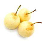 Pears Pear China Best Price Wholesale Juicy Fresh Pears Ya Pears For Export