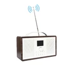Radio Radio Bluetooth 5.0 AUX In/out Popular DAB Double Alarm Room Digital FM Radio Player