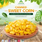 Corn Canned Corns Iso9001 Quality Ensure China Food Yellow Sweet Corn Canned With Factory Price