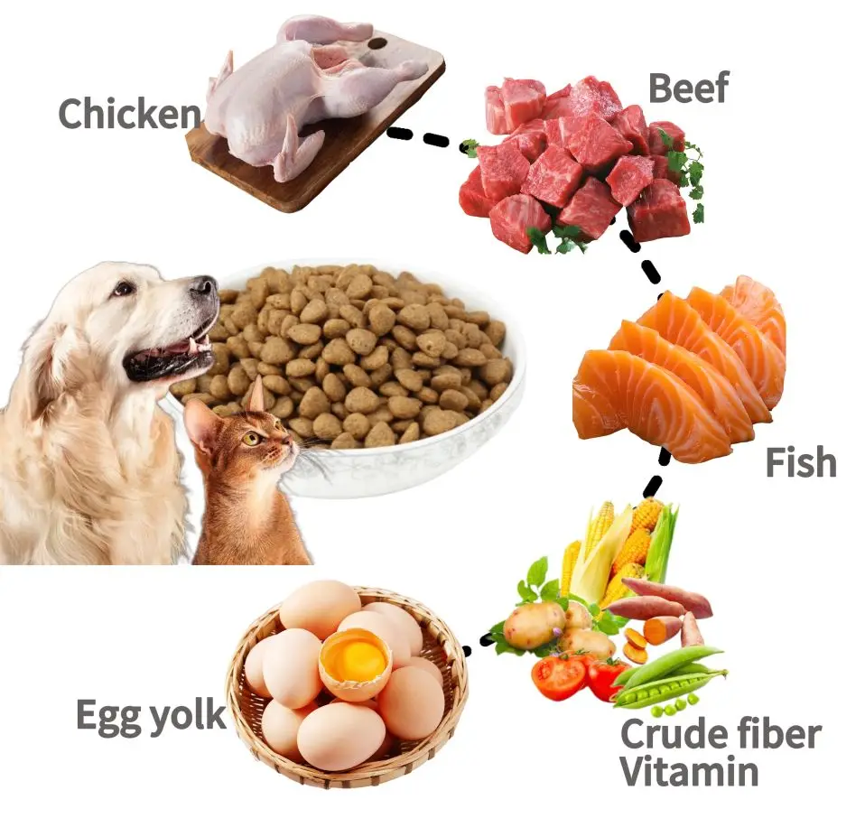  Indulge Your Furry Friends with Gourmet Pet Food: The Ultimate Guide to Premium Nutrition