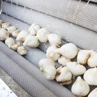 MSTP-1000 Large Capacity Industrial Potato Taro Cassava Carrot Coconut Washing Peeling Machine