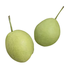 Shandong Pear Pearpear 2020 China Health Pure Bulk Shandong Fresh Pear Shandong Pear