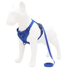 Dog Customized Label Fashion Pet Collar Leash Breathable Dog Harness Vest Reflective Custom Dog Harness Set