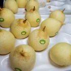 Pear Pear Fresh Ya Pear 3kg/9kg/18kg Carton