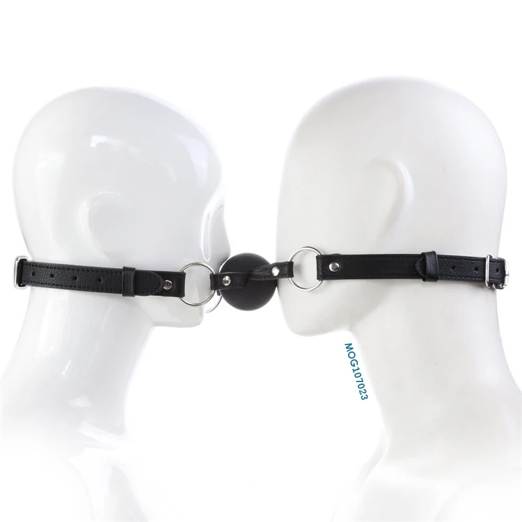 Ball Gag Harness