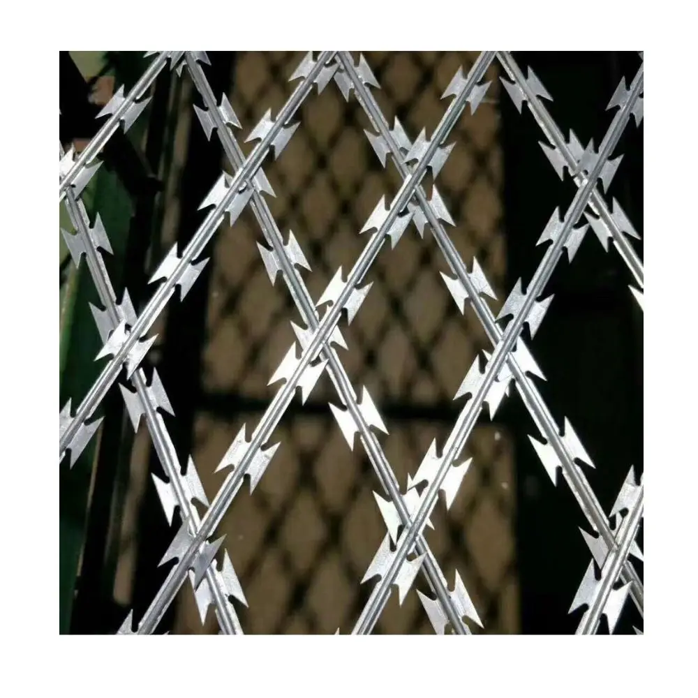 Lows Prices Prison Mesh Fence Hot Dipped Galvanized Galvanized Razor