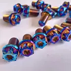 Titanium Titanium Titanium Bolt GR5 M14 Colorful Titanium Flange Bolts With Customized Logo