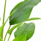 Win Young 2021 Hot Sale Cheap Indoor Decorative Artificial Plants Artificial Tree