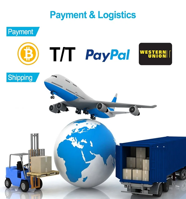 litio su ordinazione Ion Battery Packs di 3.2V 12V 200ah 9