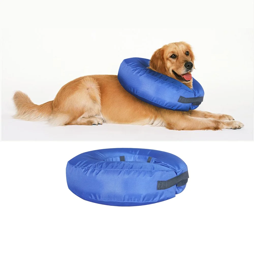 can dogs sleep with inflatable collar
